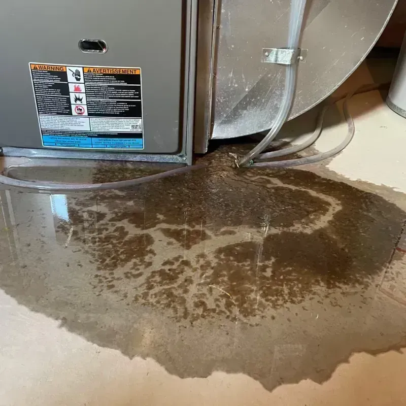 Appliance Leak Cleanup in Madison County, ID